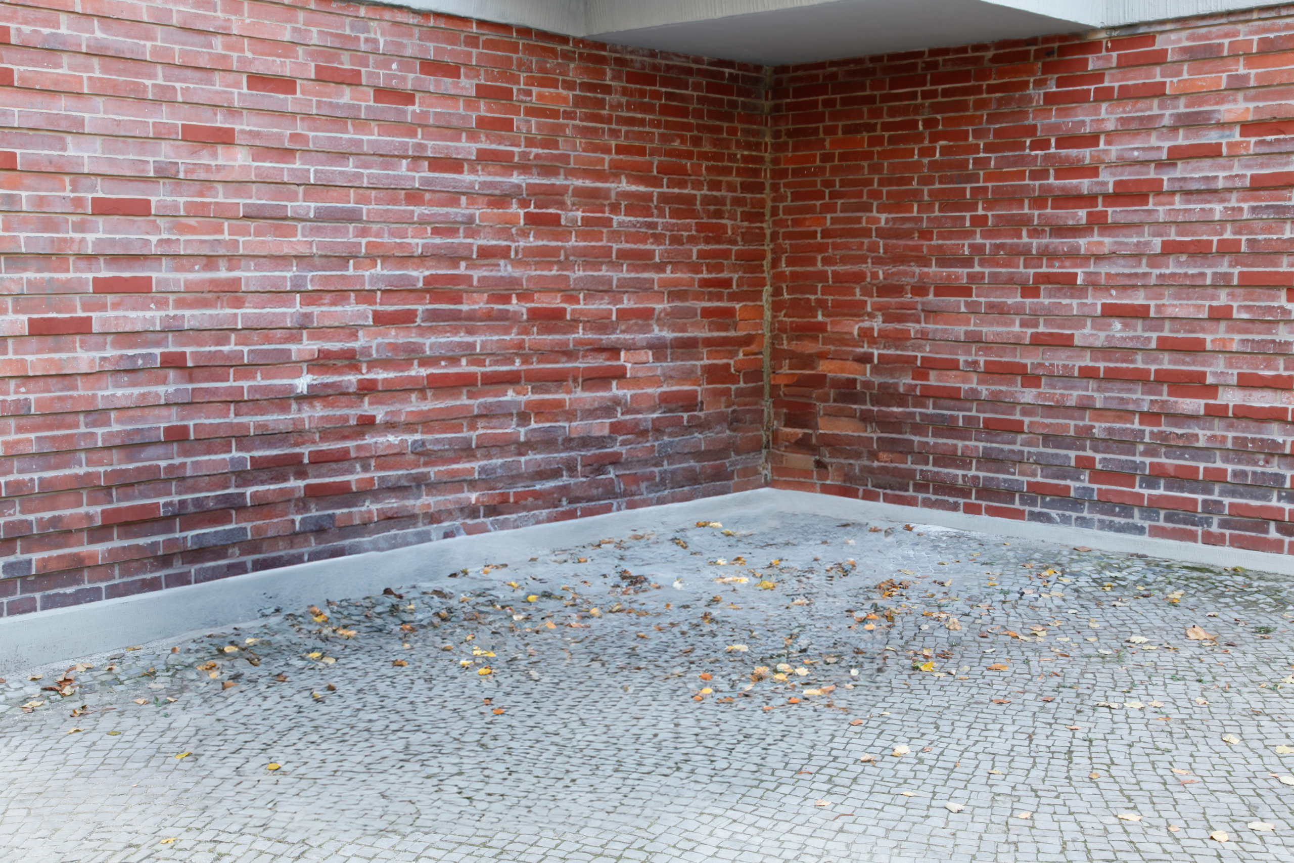 ungenutzter Raum ohne rollabo